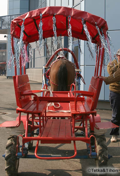  - 2006