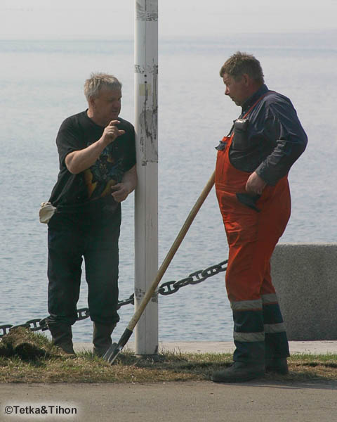  - 2006
