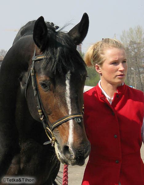  - 2006