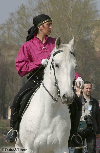  - 2006