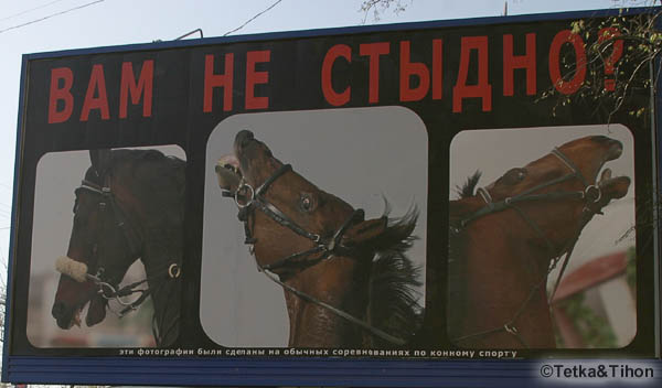  - 2006