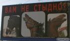  - 2006