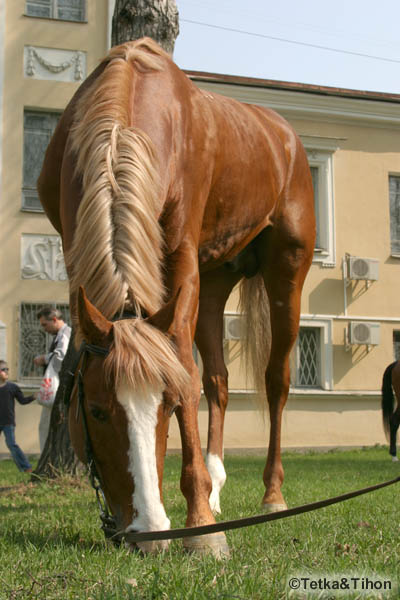  - 2006