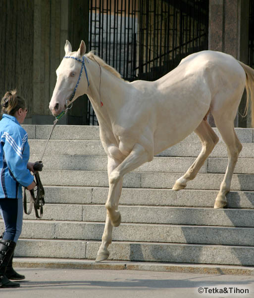  - 2006