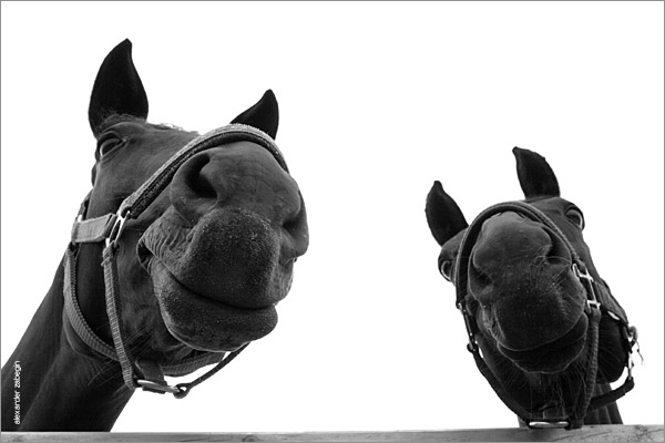 smile!