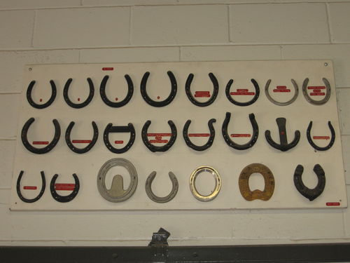Royal Canadian Mounted Police