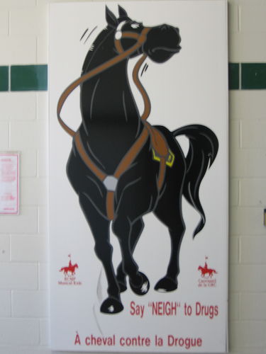 Royal Canadian Mounted Police