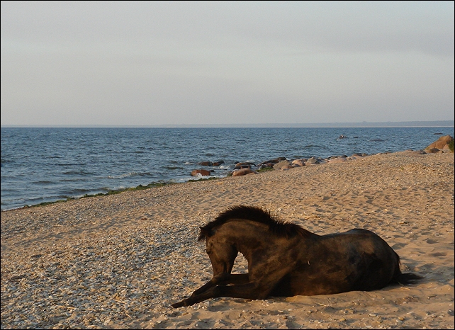 Baltic Sea