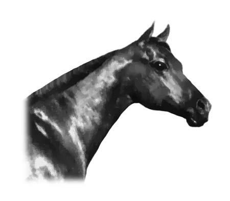 konj