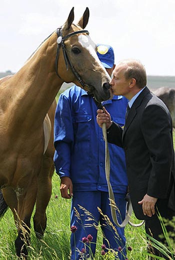 putin-loshad