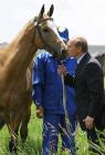 putin-loshad