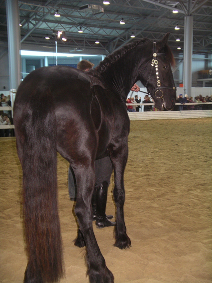  2007