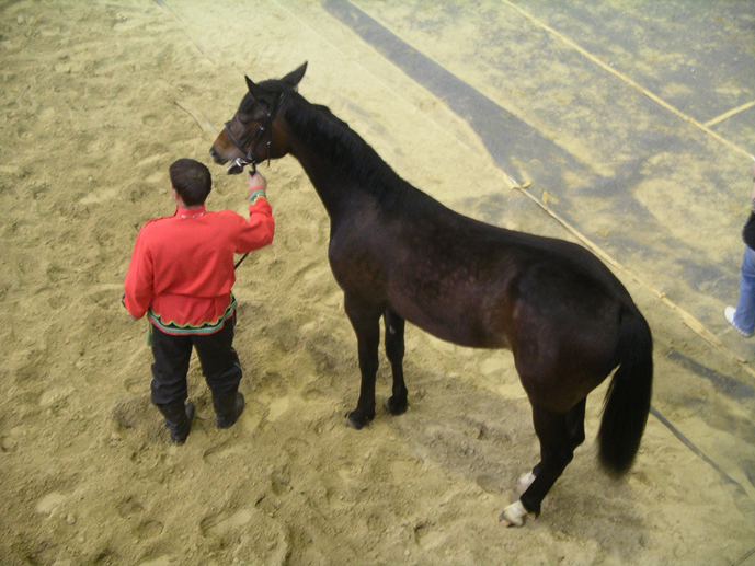  2007