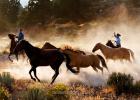 cowboy