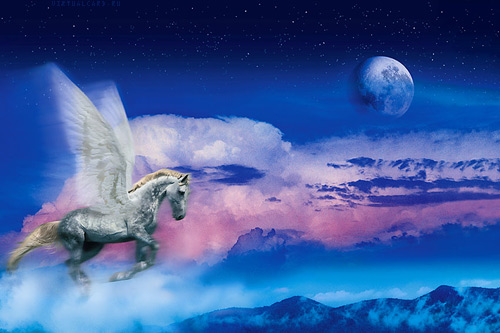 Horse