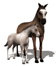 Horse1