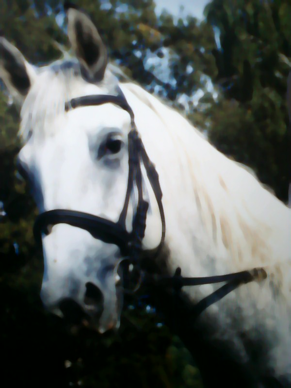 Lezgin.:)