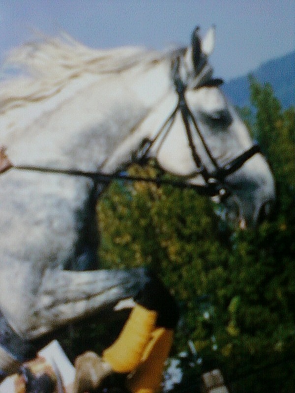 Lezgin.:)
