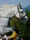 Lezgin.:)
