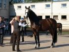 SIR LANCELOT