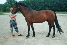   ,      1998 ..