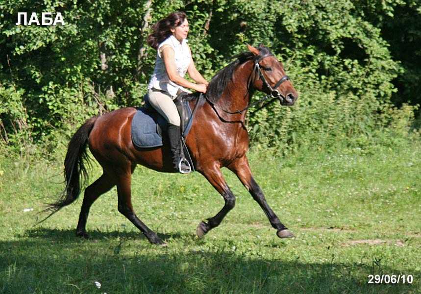   ,   2006 ..